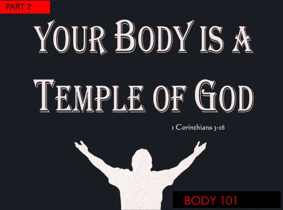1-corinthians-3-16-your-body-is-a-temple-of-god-pink-1